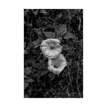 Trademark Fine Art Chris Moyer 'Twins White Flower' Canvas Art, 22x32 ALI41521-C2232GG